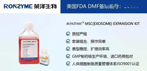 榮澤集團 市場調查成就斐然，穩健前行再譜新篇